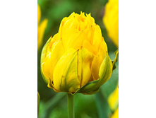 21,3���. ������� �������� ����(��� 10 ��. ���������� ������ 5��.)���15.jpg