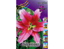 21,8���. ����� �������(��� 7 ��. ���������� ������ 3 ��� 4 ��.).jpg