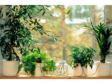 ����� � ���������� ��� ���������� ��������. 115 ���. �� ����� (� ������ 4 ��.). ��������. ������� 10 �������.jpg