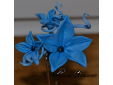 ������� ��� ����� ������� �����