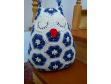 IMG 20160320 113426 1CS.jpg