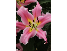 35,2���. ����� ��������(��� 5 ��. ���������� ������ 2 ��� 3 ��.)���15.jpg