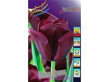 17,56���. ������� ���� ����(��� 10 ��. ���������� ������ 5��.).jpg