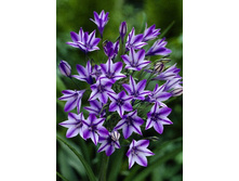 17,18���. ��������� ����(��� 10 ��. ���������� ������ 5��.).jpg