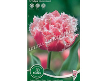 ������� ���������.jpg