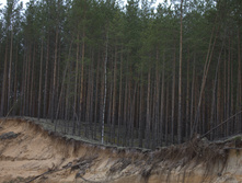 IMG 6722.jpg