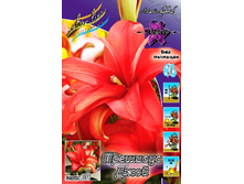 25,3���. ����� �������� ����(��� 5 ��. ���������� ������ 2 ��� 3 ��.).jpg