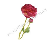 3760169245021 ������ ������������� �����, 52�� 144 313,95.jpg