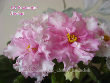 �� �������� �����