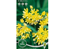 ��� ����.jpg