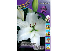 21,8���. ����� ������ ����(��� 7 ��. ���������� ������ 3 ��� 4 ��.).jpg