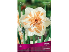 ������� �������.jpg