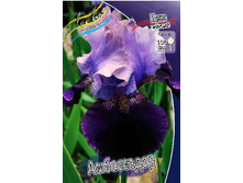 91,55���. ���� ���������� ����������(�������� ���� �� 2 ��., ����������� ����� 1��.).jpg