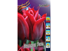 17,56���. ������� ������� ���(��� 10 ��. ���������� ������ 5��.).jpg