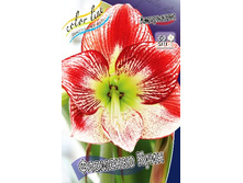 303���. ��������� �������� ����(�������� ���� �� 1 ��., ����������� ����� 1��.).jpg