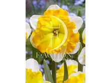 39,4���. ������� �������(��� 7 ��. ���������� ������ 3 ��� 4 ��.)���16.jpg