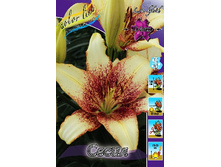 33,49���. ����� �����(��� 7 ��. ���������� ������ 3 ��� 4 ��.).jpg