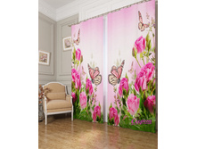 02355  ��������� "������ ������� �� �����"