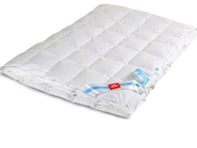 47-088 �� 21-9-1 ������ 150�200 Pure Down ������ ��� �������.jpg