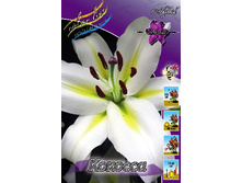 31,7���. ����� �������(��� 7 ��. ���������� ������ 3 ��� 4 ��.).jpg