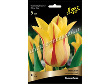 ������� ���� ����.jpg