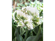 19,43���. ������� ����� ������(��� 10 ��. ���������� ������ 5��.).jpg