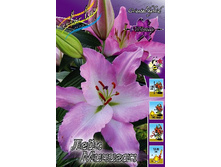 23,6���. ����� ���� �������(��� 7 ��. ���������� ������ 3 ��� 4 ��.).jpg