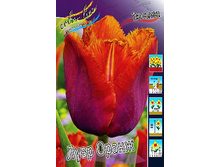 21,3���. ������� ���� �����(��� 10 ��. ���������� ������ 5��.).jpg