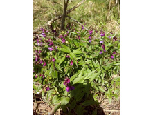 IMG 20160507 110629.jpg