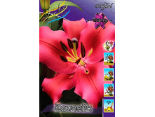 47,78���. ����� �������(�������� ���� �� 5 ��., ����������� ����� 1��.).jpg