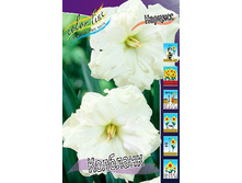 43,54���. ������� ��������(�������� ���� �� 5 ��., ����������� ����� 1��.).jpg