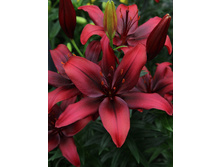 29,9���. ����� ����������(��� 7 ��. ���������� ������ 3 ��� 4 ��.)���16.jpg