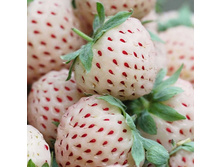 �������� ��� ����.jpg