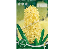 ������� ���� �� ������.jpg