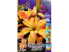 25,3���. ����� �������� ����(��� 5 ��. ���������� ������ 2 ��� 3 ��.).jpg