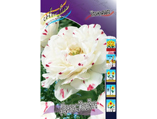 51,98���. ������� ��������(�������� ���� �� 5 ��., ����������� ����� 1��.).jpg