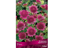 ��������� ������������ �����.jpg