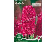 ������� �� ���.jpg