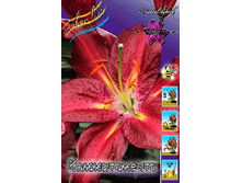 28,9���. ����� ����������(��� 5 ��. ���������� ������ 2 ��� 3 ��.).jpg