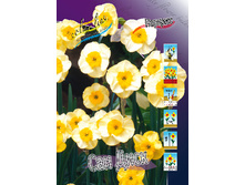 11,38���. ������� ��� ����(���������� ������ ������ ���������� �� 10 ��.)���16.jpg