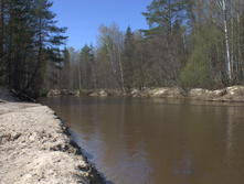 IMG 6773.jpg