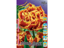 31,61���. ������� ���� ����(��� 10 ��. ���������� ������ 5��.).jpg