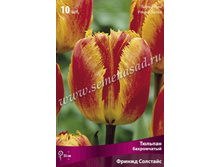 ������� ������ �������.jpg