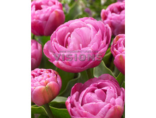 19,43���. ������� �����(��� 10 ��. ���������� ������ 5��.)���16.jpg