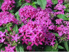 ������ ��������� ...