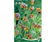 ������ �����������.jpg