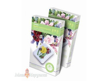 210710 ���� ����������� ����� №4 �������