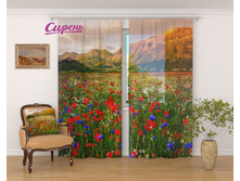 03006-��-��-001. "������� ������"