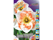 29,1���. ������� ���� ������(��� 7 ��. ���������� ������ 3 ��� 4 ��.).jpg