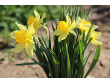 ������� 4 ������ ������ (�ϣ ����)